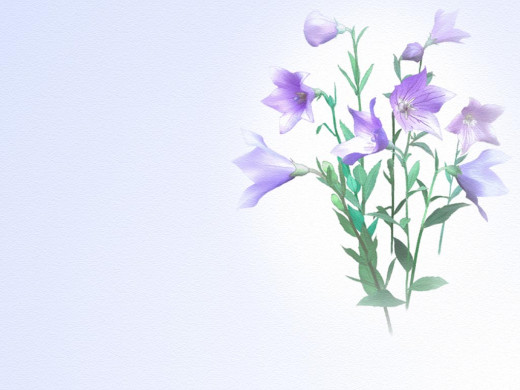 303236 (a): :1024x768